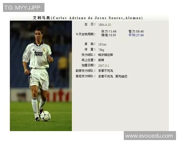 足球明星艾利的妻子揭秘她的生活与支持背后的故事